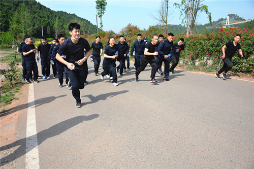 图片3_副本.png